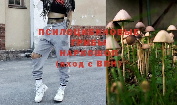 таблы Белокуриха