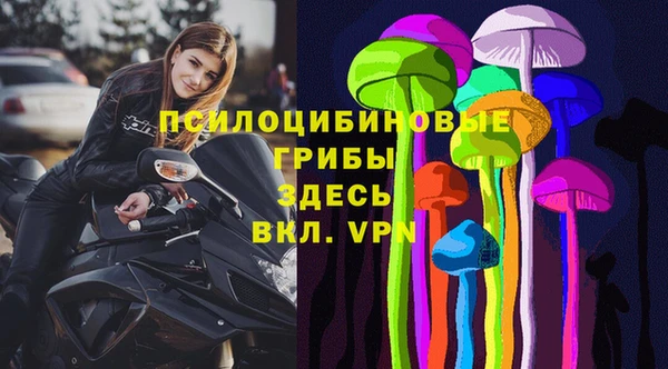 таблы Белокуриха