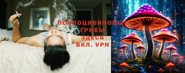 таблы Белокуриха