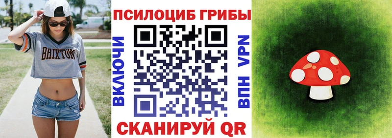 Псилоцибиновые грибы Magic Shrooms  Бузулук 