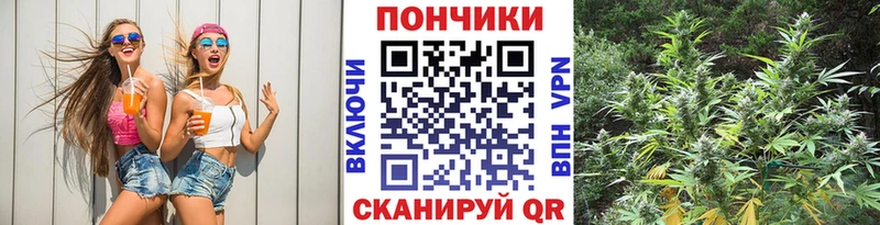 Шишки марихуана OG Kush Бузулук
